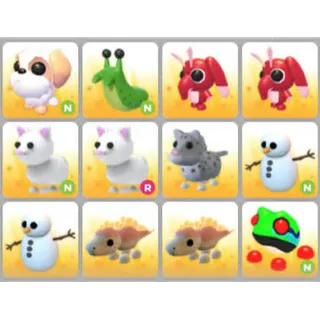 BUNDLE PET X12