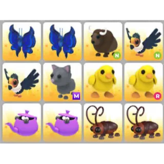 BUNDLE PET X12