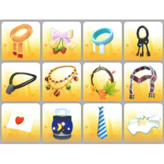 BUNDLE PET WEAR X12