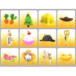 BUNDLE PET WEAR X12