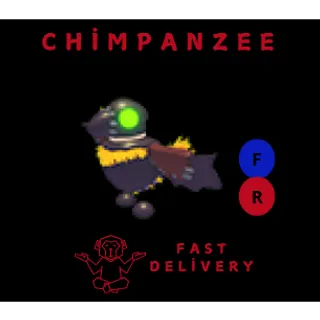 FR SCARECROW CROW