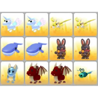 BUNDLE PET X12