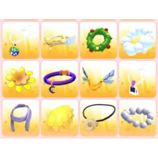 BUNDLE PET WEAR X12