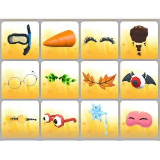 BUNDLE PET WEAR X12