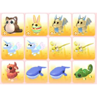 BUNDLE PET X12