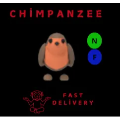 ROBIN NF