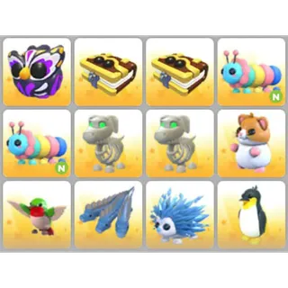 BUNDLE PET X12