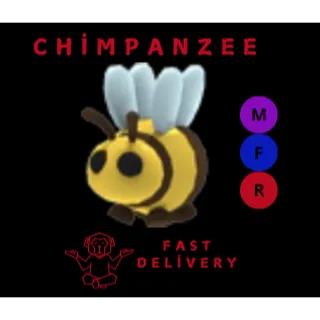 BEE MFR