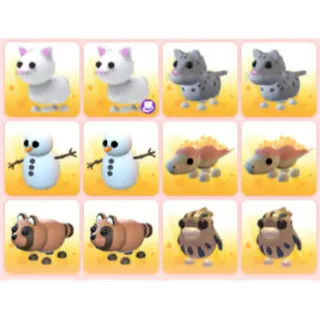 BUNDLE PET X12