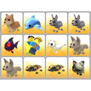 BUNDLE PET X12