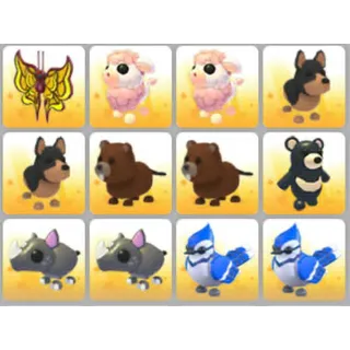 BUNDLE PET X12