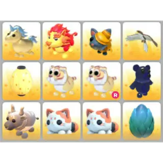 BUNDLE PET X12