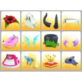 BUNDLE PET WEAR X12