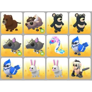 BUNDLE PET X12