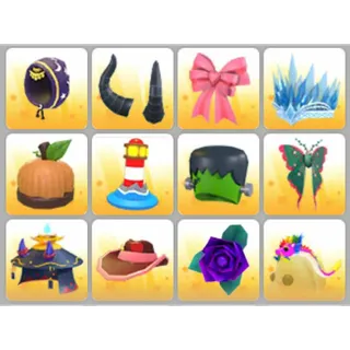BUNDLE PET WEAR X12