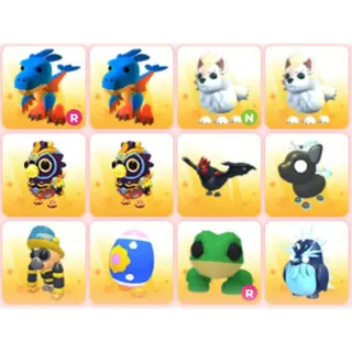 BUNDLE PET X12
