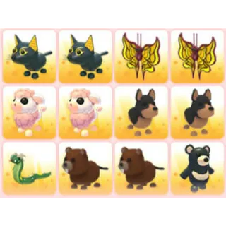 BUNDLE PET X12