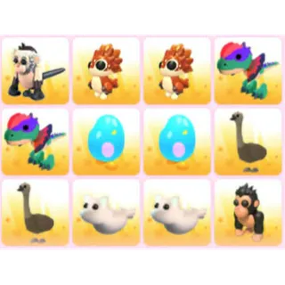 BUNDLE PET X12