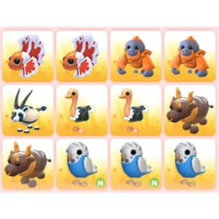 BUNDLE PET X12