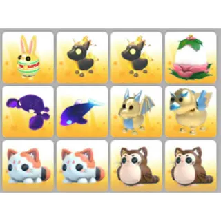 BUNDLE PET X12