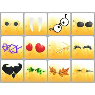 BUNDLE PET WEAR X12