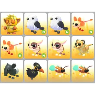BUNDLE PET X12