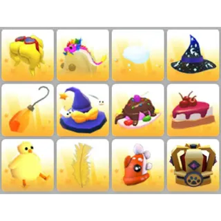 BUNDLE PET WEAR X12