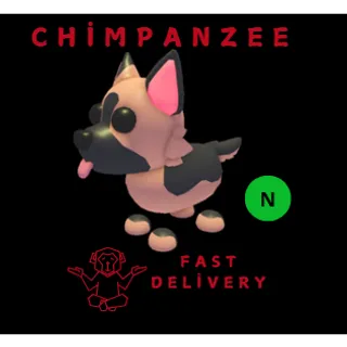 GERMAN SHEPHERD NEON