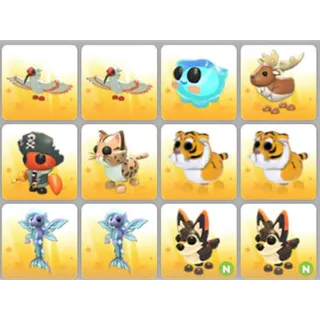 BUNDLE PET X12