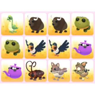 BUNDLE PET X12