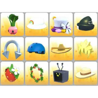 BUNDLE PET WEAR X12