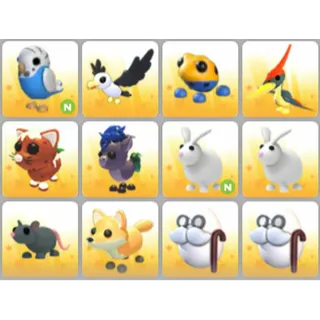 BUNDLE PET X12