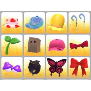 BUNDLE PET WEAR X12