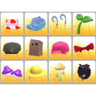 BUNDLE PET WEAR X12