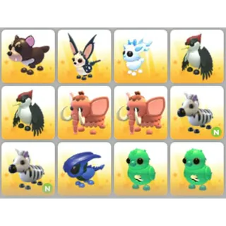 BUNDLE PET X12