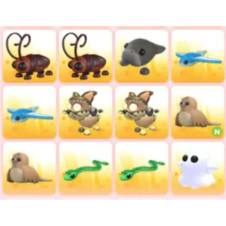 BUNDLE PET X12