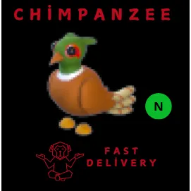 BROWN-Chested Pheasant NEON