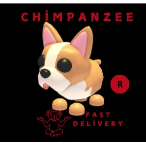 French Bulldog R