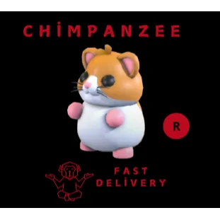 R HAMSTER