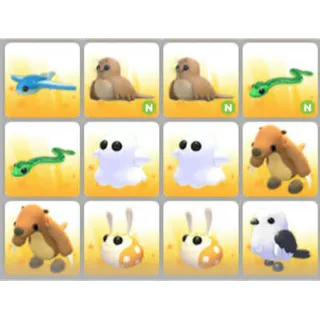 BUNDLE PET X12