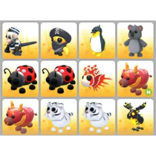 BUNDLE PET X12