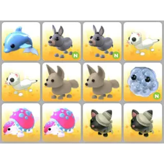 BUNDLE PET X12