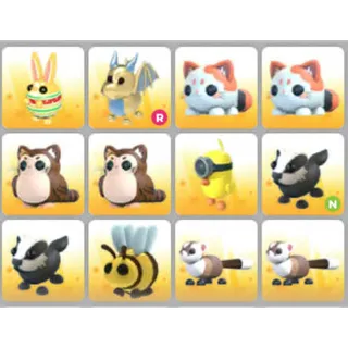 BUNDLE PET X12