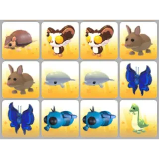 BUNDLE PET X12