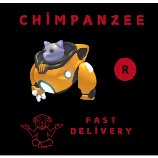 R MECHA MEOW