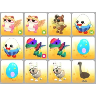 BUNDLE PET X12