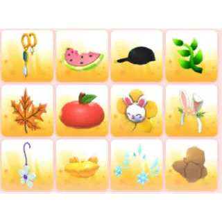 BUNDLE PET WEAR X12