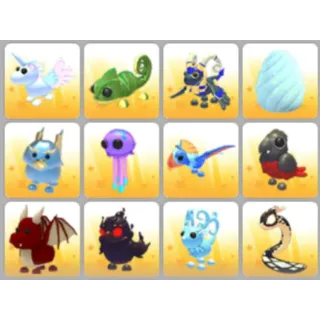 BUNDLE PET X12