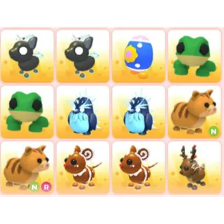 BUNDLE PET X12