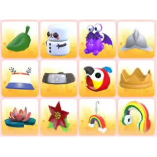 BUNDLE PET WEAR X12